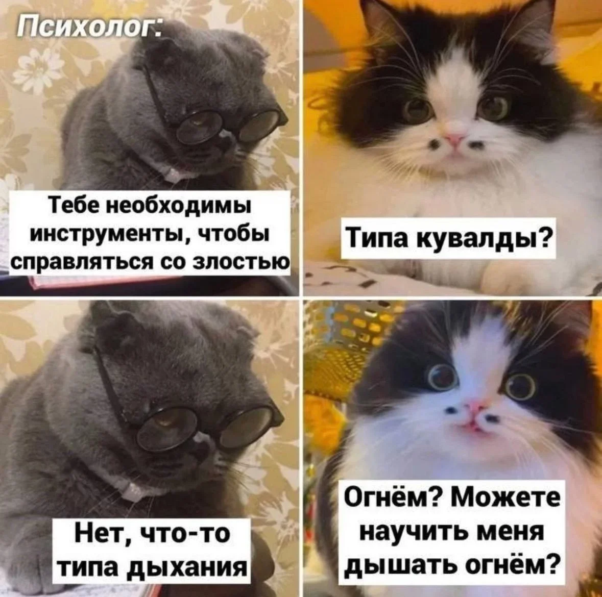 Мемы недели: 40 картинок, от которых невозможно не улыбнуться мемы, юмор, картинки, приколы, подборка