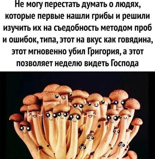 Понедельник отменяется: заряжаемся мемами Понедельник отменяется: заряжаемся мемами мемы, юмор, понедельник, картинки, позитив