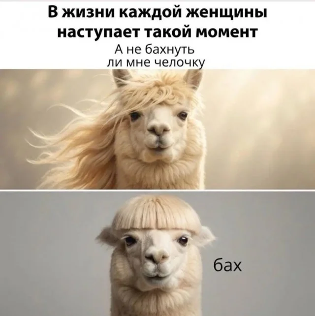 Понедельник отменяется: заряжаемся мемами Понедельник отменяется: заряжаемся мемами мемы, юмор, понедельник, картинки, позитив