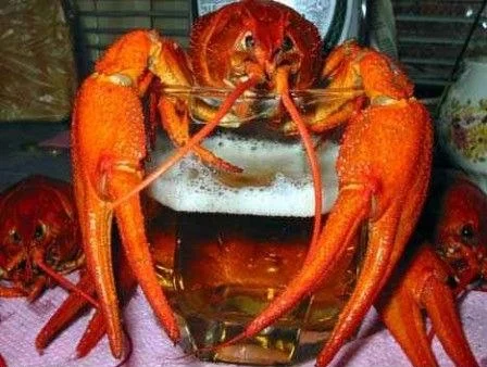 А вы точно уверены, что это сказка? А вы точно уверены, что это сказка? красная шапочка, волк, сказки, юмор, фото, подборка