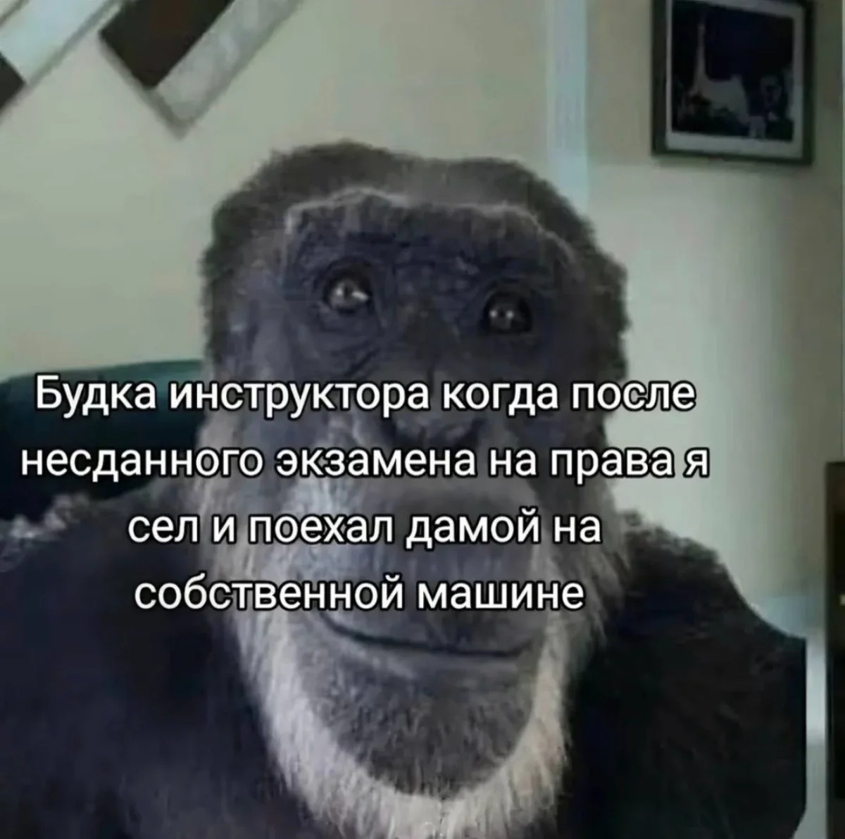 Мемы на утро 19 октября Мемы на утро 19 октября мемы, юмор, картинки, понедельник, дождь, лотерея