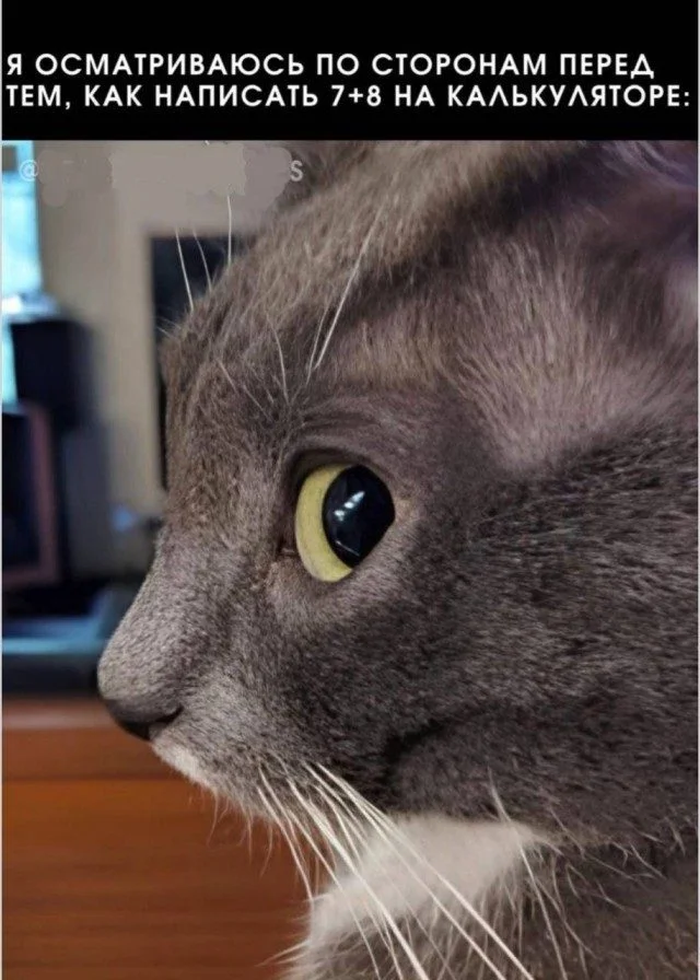 Мемы, которые узнает каждый Мемы, которые узнает каждый мемы, юмор, подборка картинок, повседневность, приколы