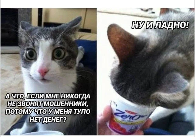 Мемы, которые узнает каждый Мемы, которые узнает каждый мемы, юмор, подборка картинок, повседневность, приколы