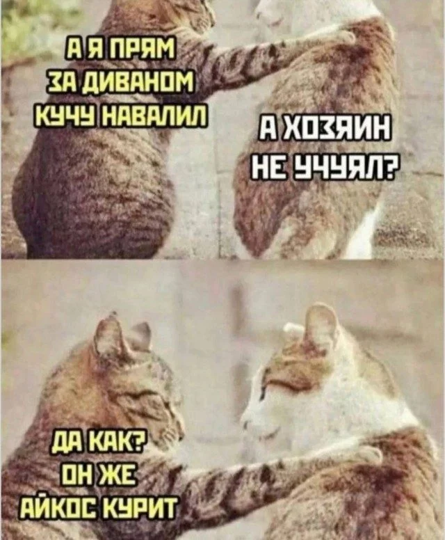 Мемы, которые узнает каждый Мемы, которые узнает каждый мемы, юмор, подборка картинок, повседневность, приколы