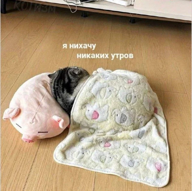 Мемы, которые узнает каждый Мемы, которые узнает каждый мемы, юмор, подборка картинок, повседневность, приколы