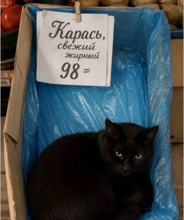 15 мемов, которые просят отправить другу