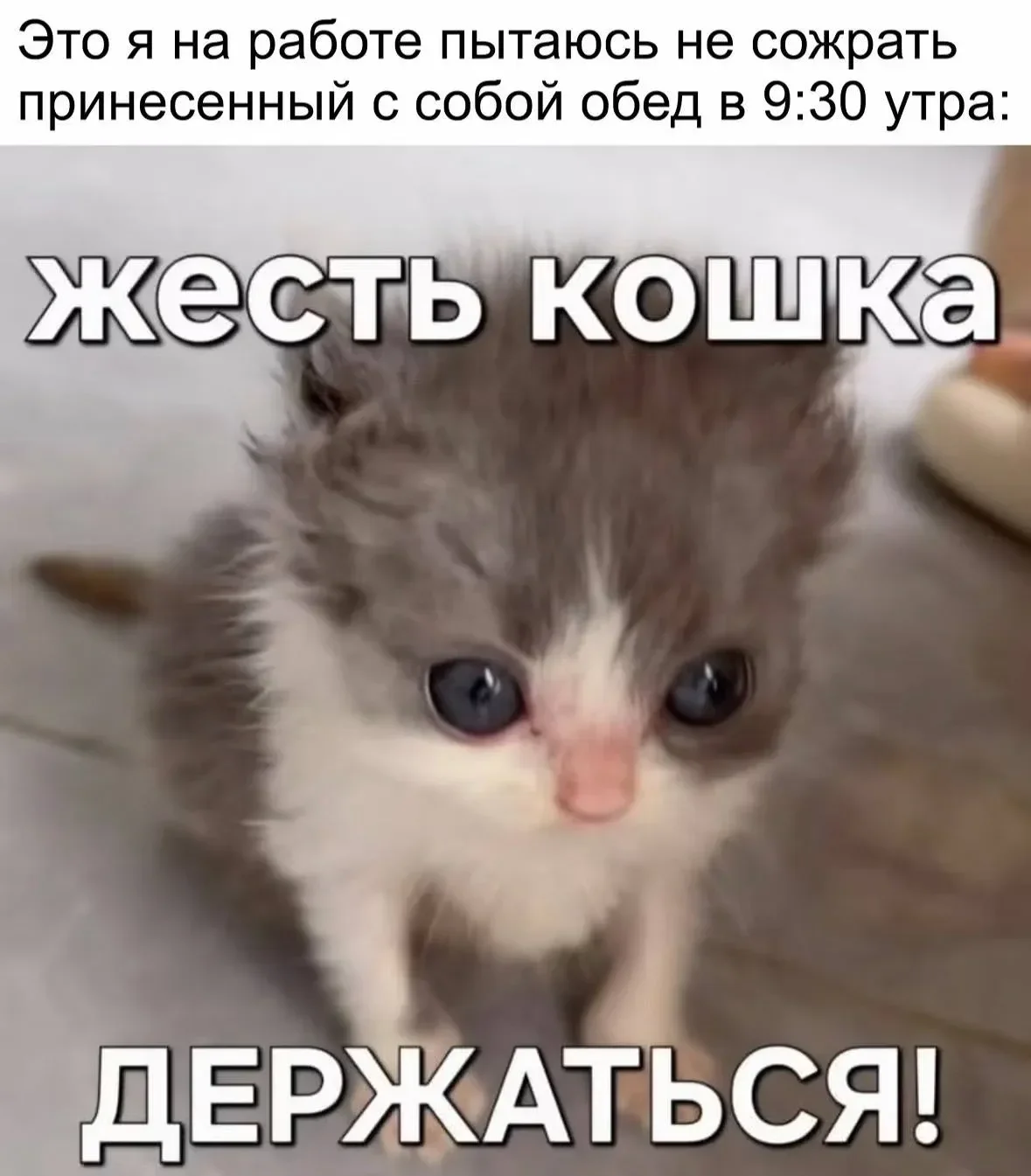 Мемы про работу: когда ты делаешь всё, а остальные только ставят лайки Мемы про работу: когда ты делаешь всё, а остальные только ставят лайки мемы, работа, офис, юмор, картинки, подборка