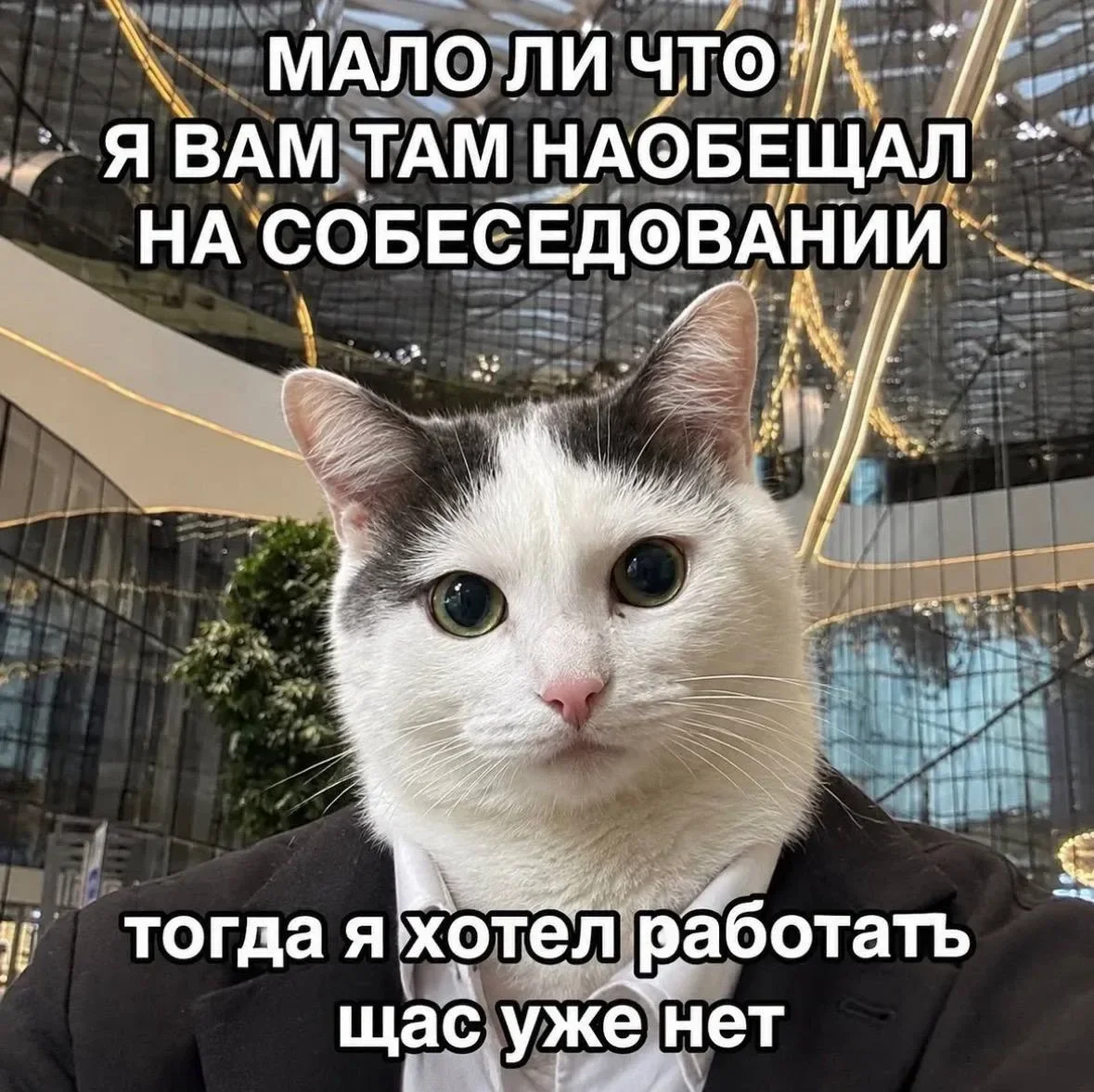 Мемы про работу: когда ты делаешь всё, а остальные только ставят лайки Мемы про работу: когда ты делаешь всё, а остальные только ставят лайки мемы, работа, офис, юмор, картинки, подборка