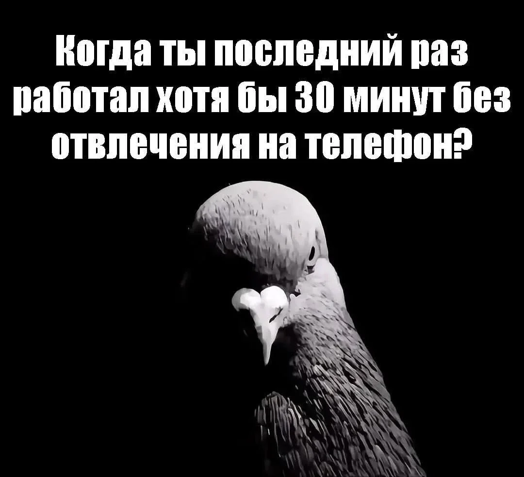 Мемы про работу: когда ты делаешь всё, а остальные только ставят лайки Мемы про работу: когда ты делаешь всё, а остальные только ставят лайки мемы, работа, офис, юмор, картинки, подборка