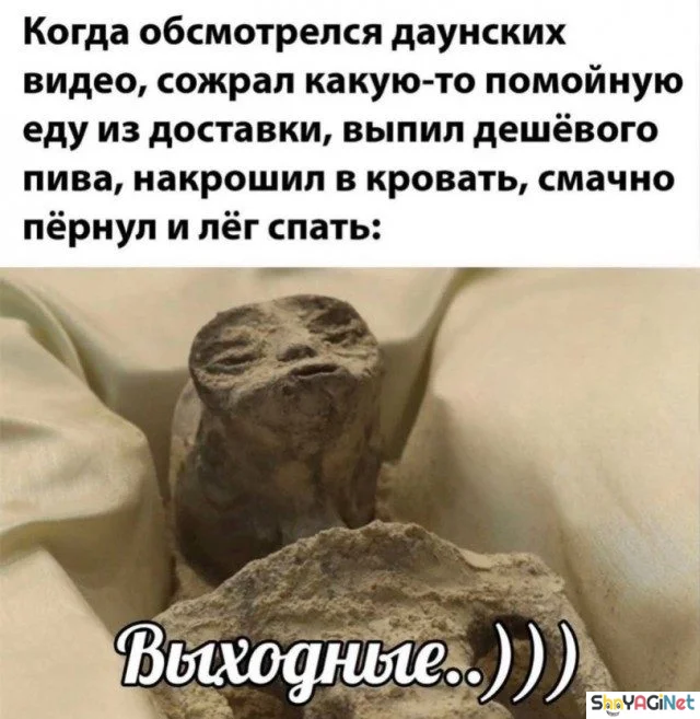 Когда всё пошло не по плану: 20 уморительных картинок Когда всё пошло не по плану: 20 уморительных картинок приколы, картинки, юмор, когда, подборка
