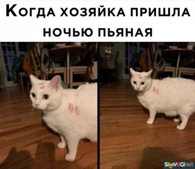 Когда всё пошло не по плану: 20 уморительных картинок Когда всё пошло не по плану: 20 уморительных картинок приколы, картинки, юмор, когда, подборка
