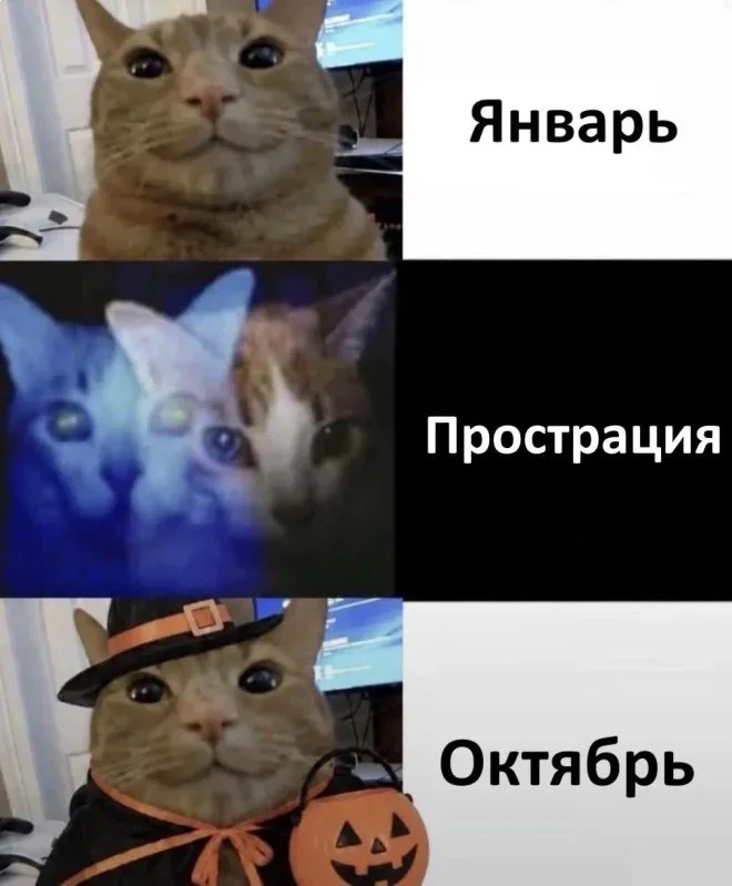 Улыбнись: мемы на вторник