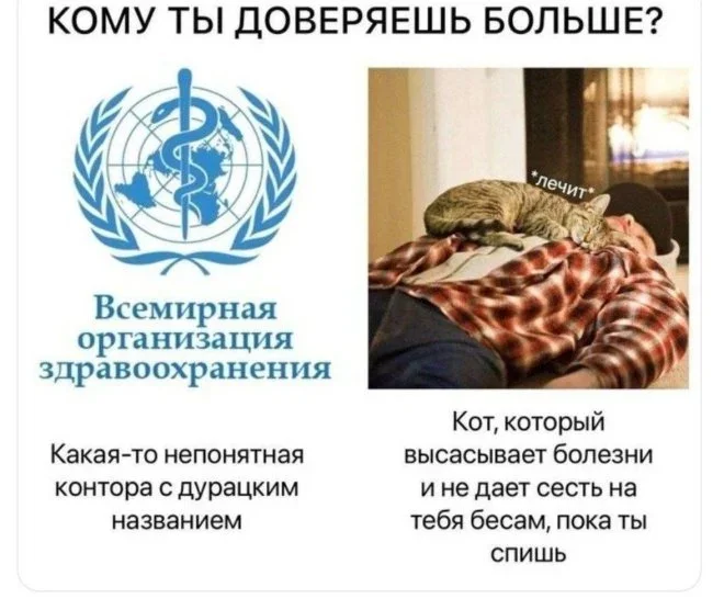 Улыбнись: мемы на вторник мемы, юмор, картинки, вторник, подборка