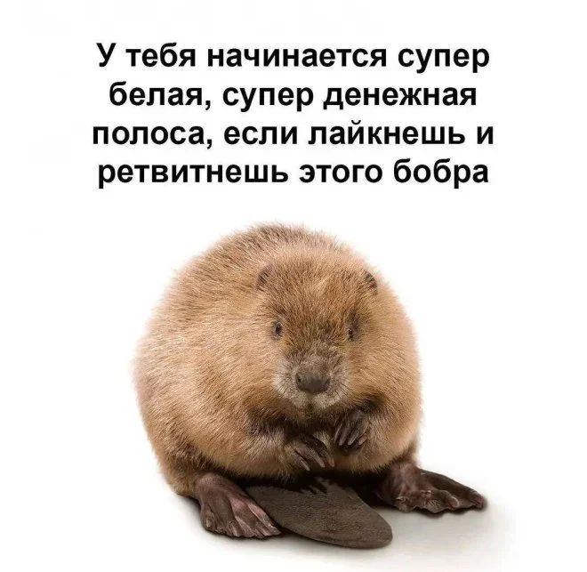 Улыбнись: мемы на вторник мемы, юмор, картинки, вторник, подборка