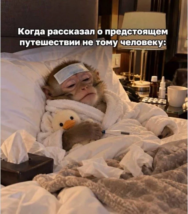 Мемы, которые вызовут улыбку