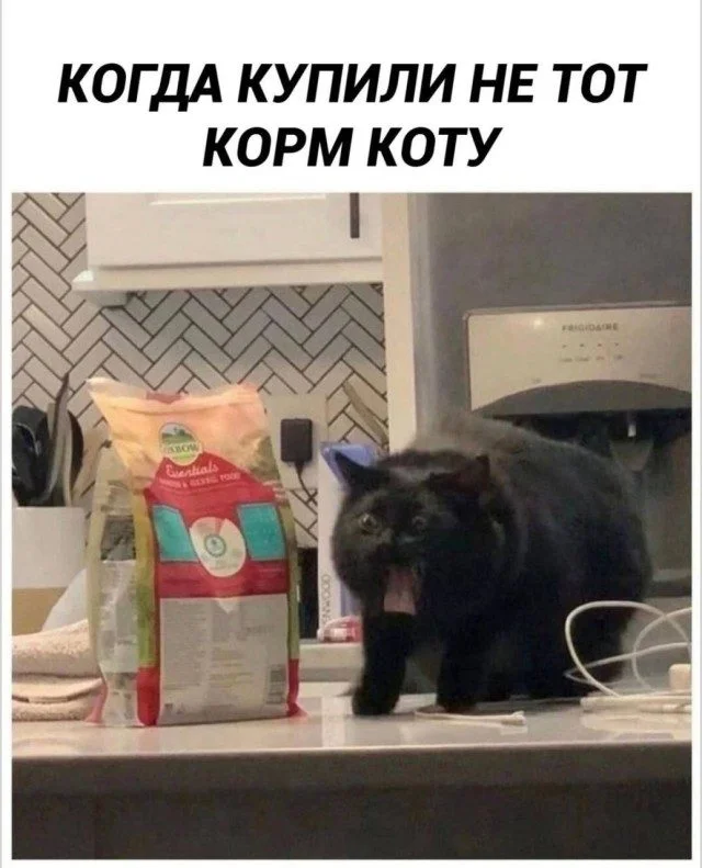 Улыбнись, пока начальник не видит Улыбнись, пока начальник не видит мемы, юмор, картинки, подборка