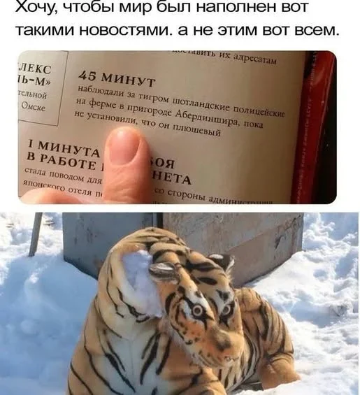 Юмор на утро среды и страхолюдина юмор, мемы, картинки, среда, утро, позитив