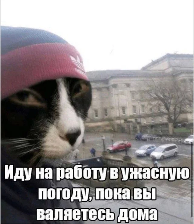 Мемы, которые вы узнаете Мемы, которые вы узнаете мемы, юмор, картинки, приколы, подборка