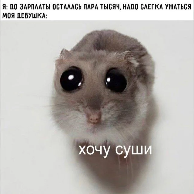 Мемы, которые вы узнаете Мемы, которые вы узнаете мемы, юмор, картинки, приколы, подборка