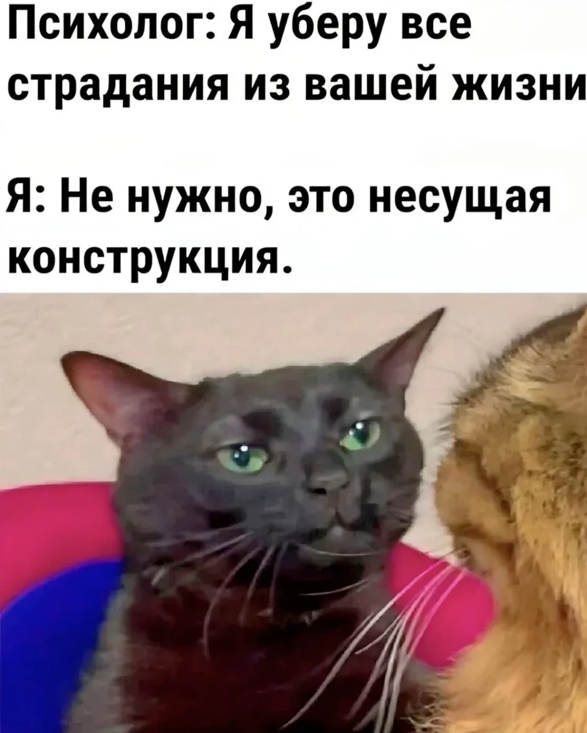 Мемы на день и заказ Мемы на день и заказ мемы, смешные картинки, юмор, подборка, шутки