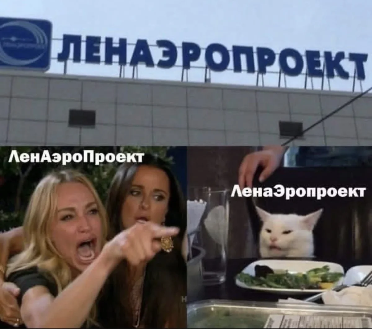 Мемы на день и заказ Мемы на день и заказ мемы, смешные картинки, юмор, подборка, шутки