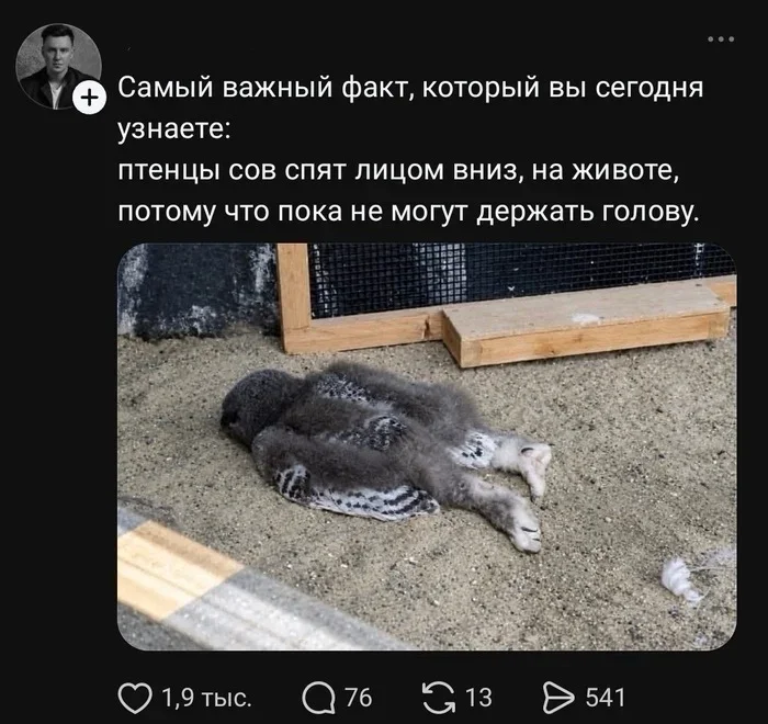 Смешные картинки на утро четверга юмор, мемы, приколы, картинки, ООН, шумеры