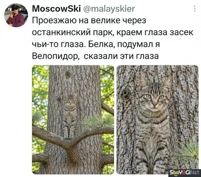 Угарные комментарии из сети Угарные комментарии из сети юмор, комментарии, соцсети, приколы, подборка