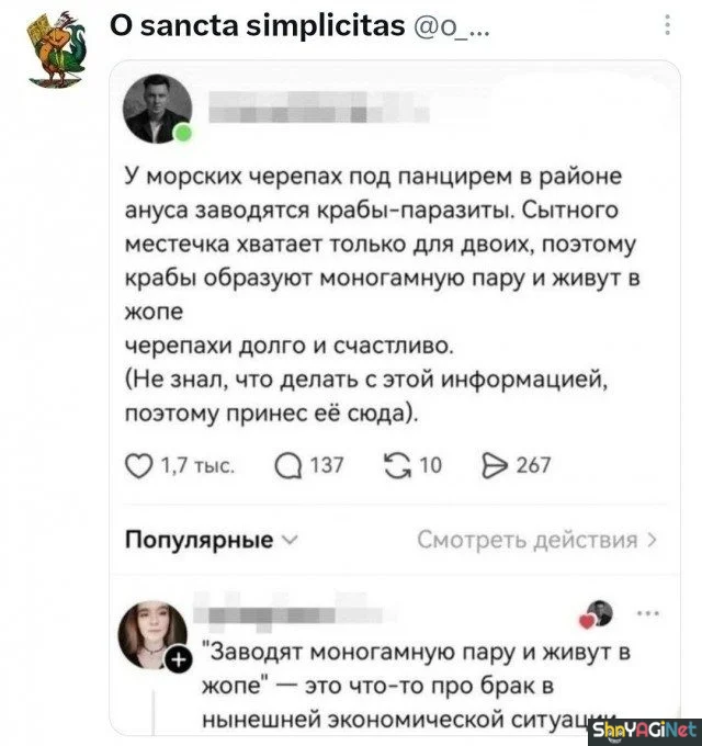 Угарные комментарии из сети Угарные комментарии из сети юмор, комментарии, соцсети, приколы, подборка