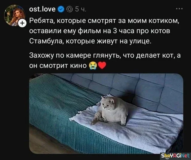 Угарные комментарии из сети Угарные комментарии из сети юмор, комментарии, соцсети, приколы, подборка