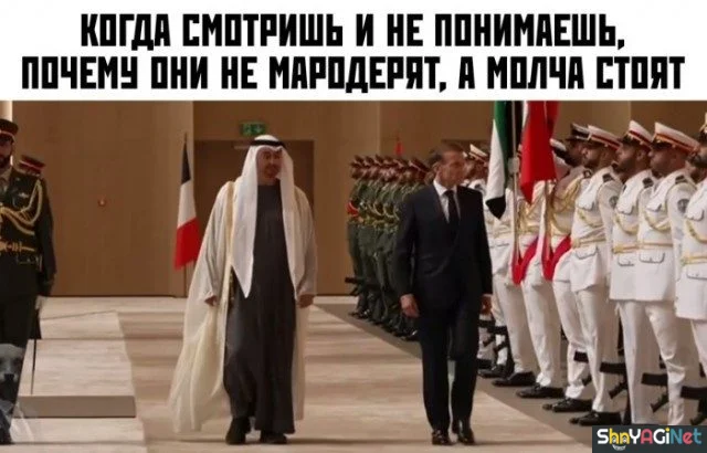 Когда мемы зашкаливают: 18 картинок для поднятия настроения приколы, мемы, картинки, юмор