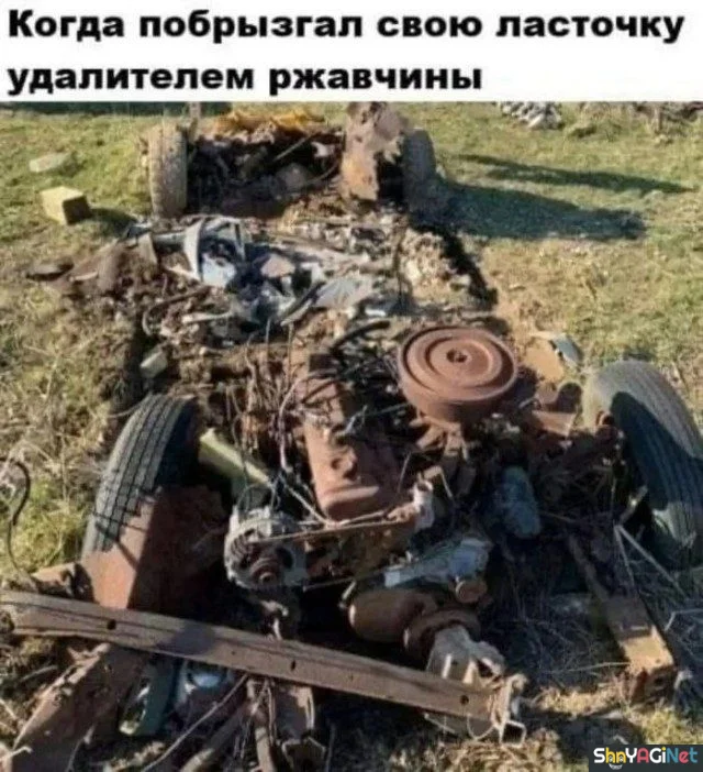 Когда мемы зашкаливают: 18 картинок для поднятия настроения приколы, мемы, картинки, юмор