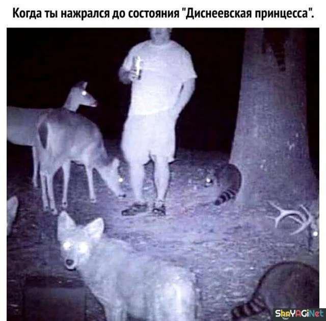 Когда мемы зашкаливают: 18 картинок для поднятия настроения приколы, мемы, картинки, юмор