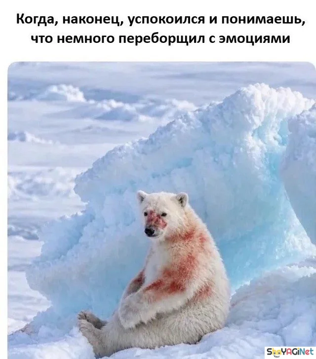 Когда мемы зашкаливают: 18 картинок для поднятия настроения приколы, мемы, картинки, юмор