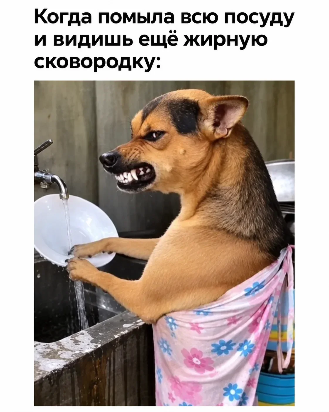 Мемы, которые не требуют дресс-кода мемы, юмор, картинки, подборка, пятница