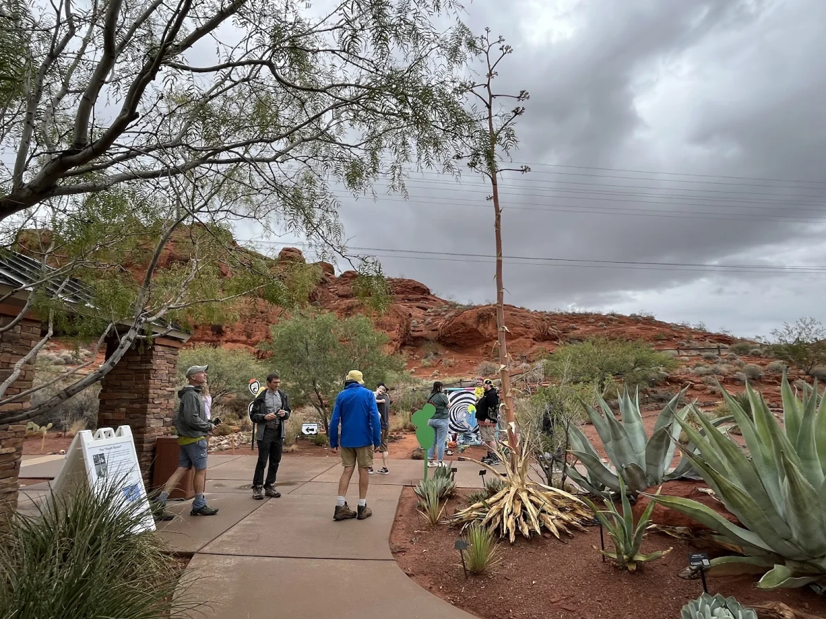 Вместо палатки — водопады Зайон, поход, шторм, водопады, кондоры, Snow Canyon, путешествия, США