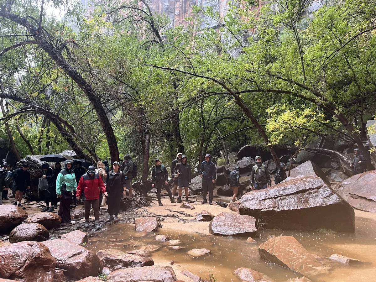 Вместо палатки — водопады Зайон, поход, шторм, водопады, кондоры, Snow Canyon, путешествия, США