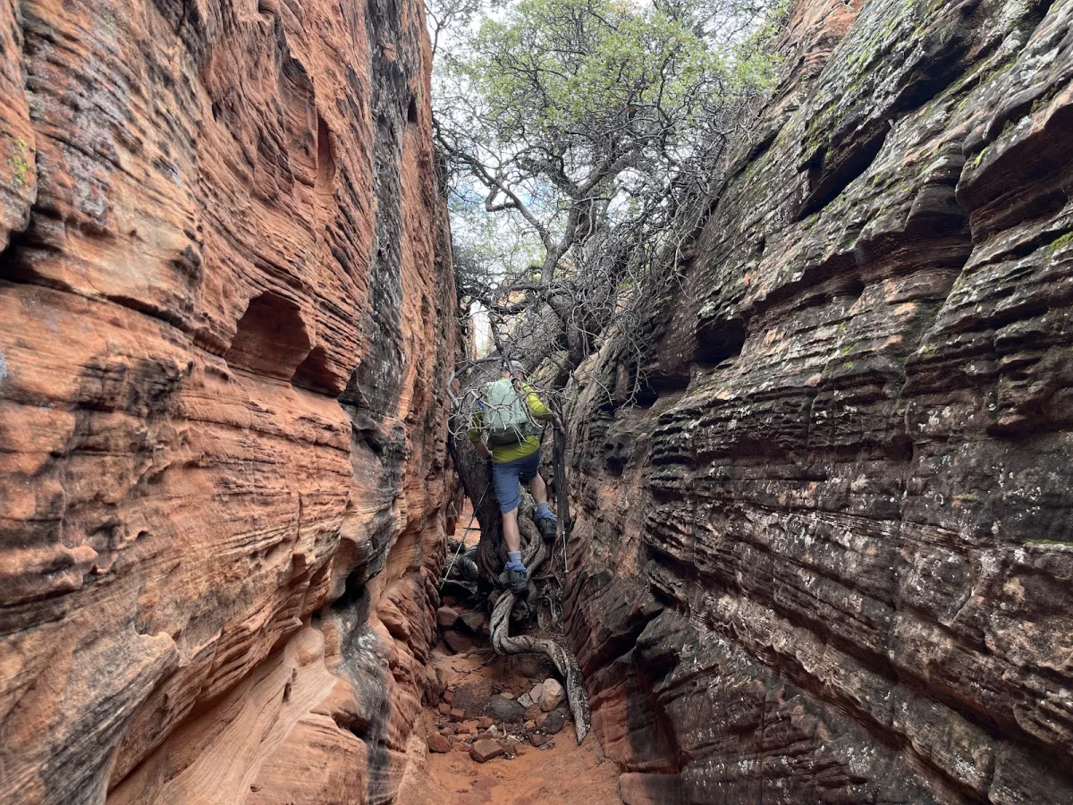 Вместо палатки — водопады Зайон, поход, шторм, водопады, кондоры, Snow Canyon, путешествия, США