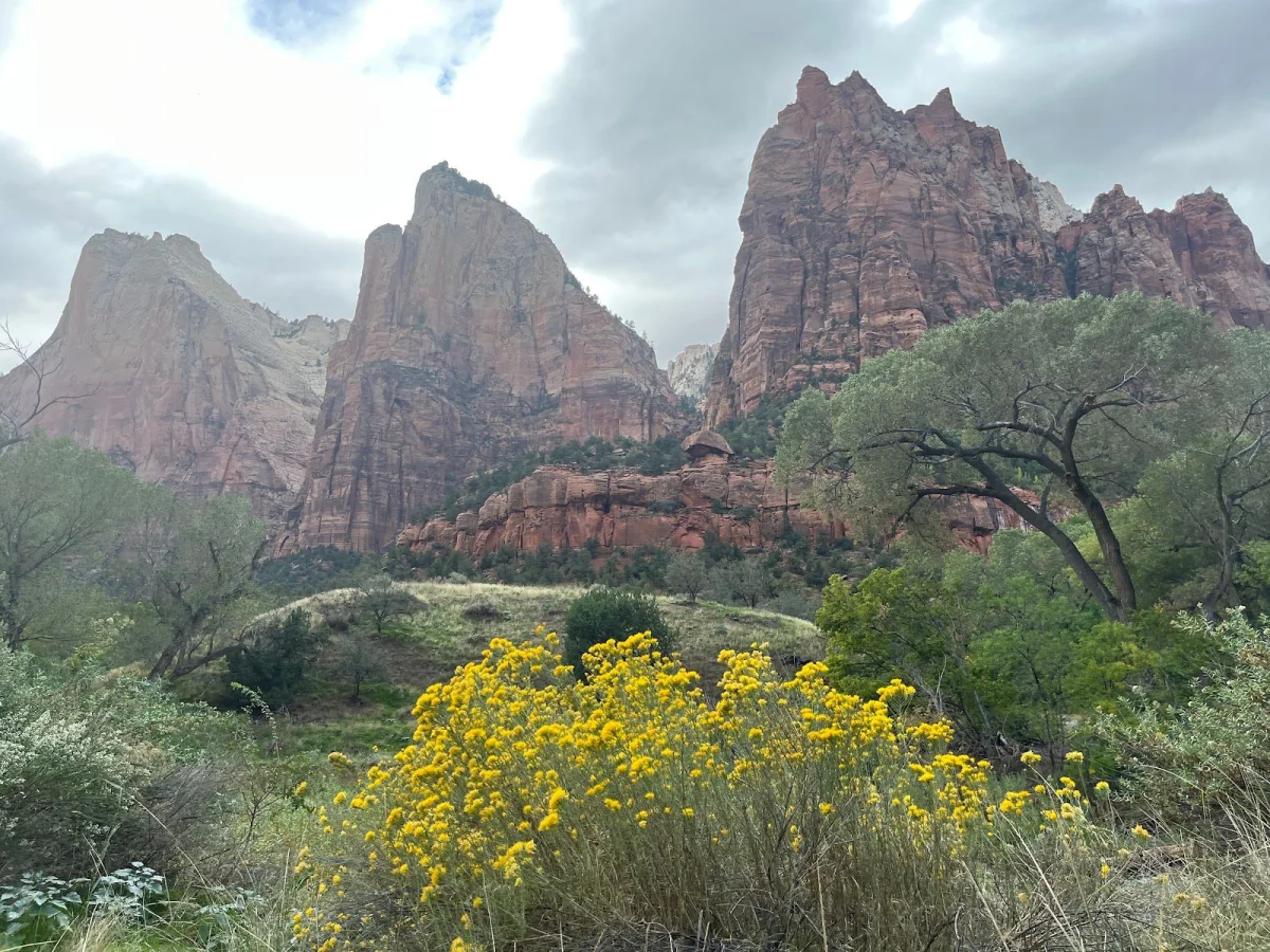 Вместо палатки — водопады Зайон, поход, шторм, водопады, кондоры, Snow Canyon, путешествия, США