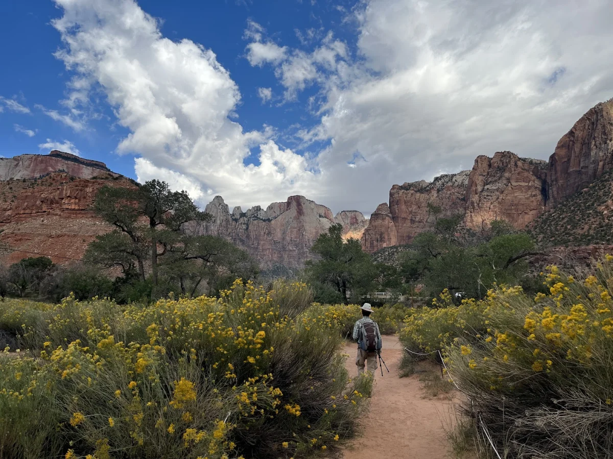 Вместо палатки — водопады Зайон, поход, шторм, водопады, кондоры, Snow Canyon, путешествия, США
