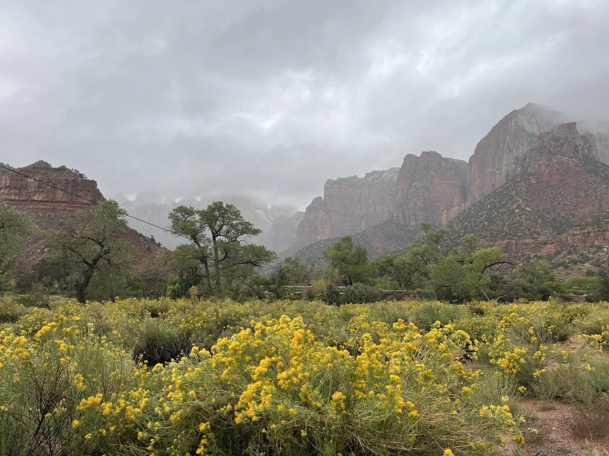 Вместо палатки — водопады Зайон, поход, шторм, водопады, кондоры, Snow Canyon, путешествия, США