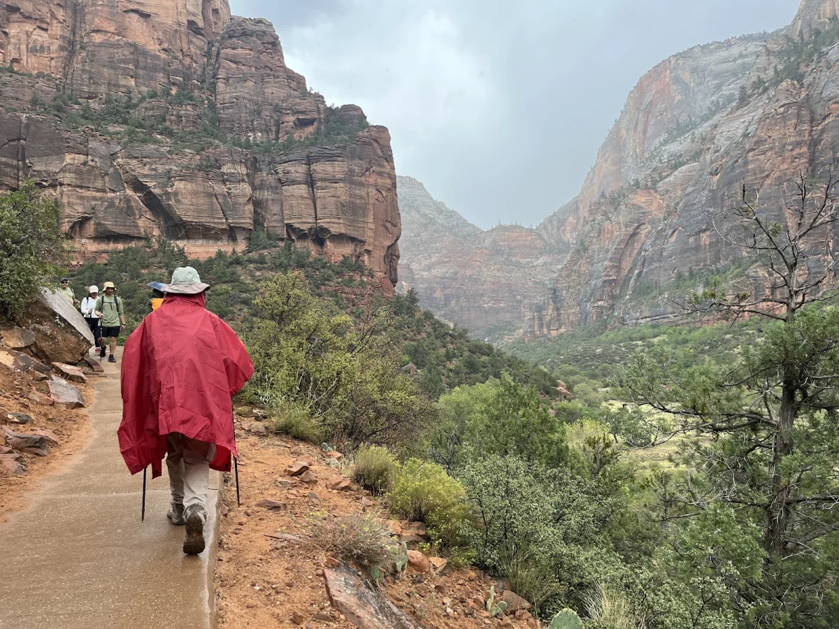 Вместо палатки — водопады Зайон, поход, шторм, водопады, кондоры, Snow Canyon, путешествия, США
