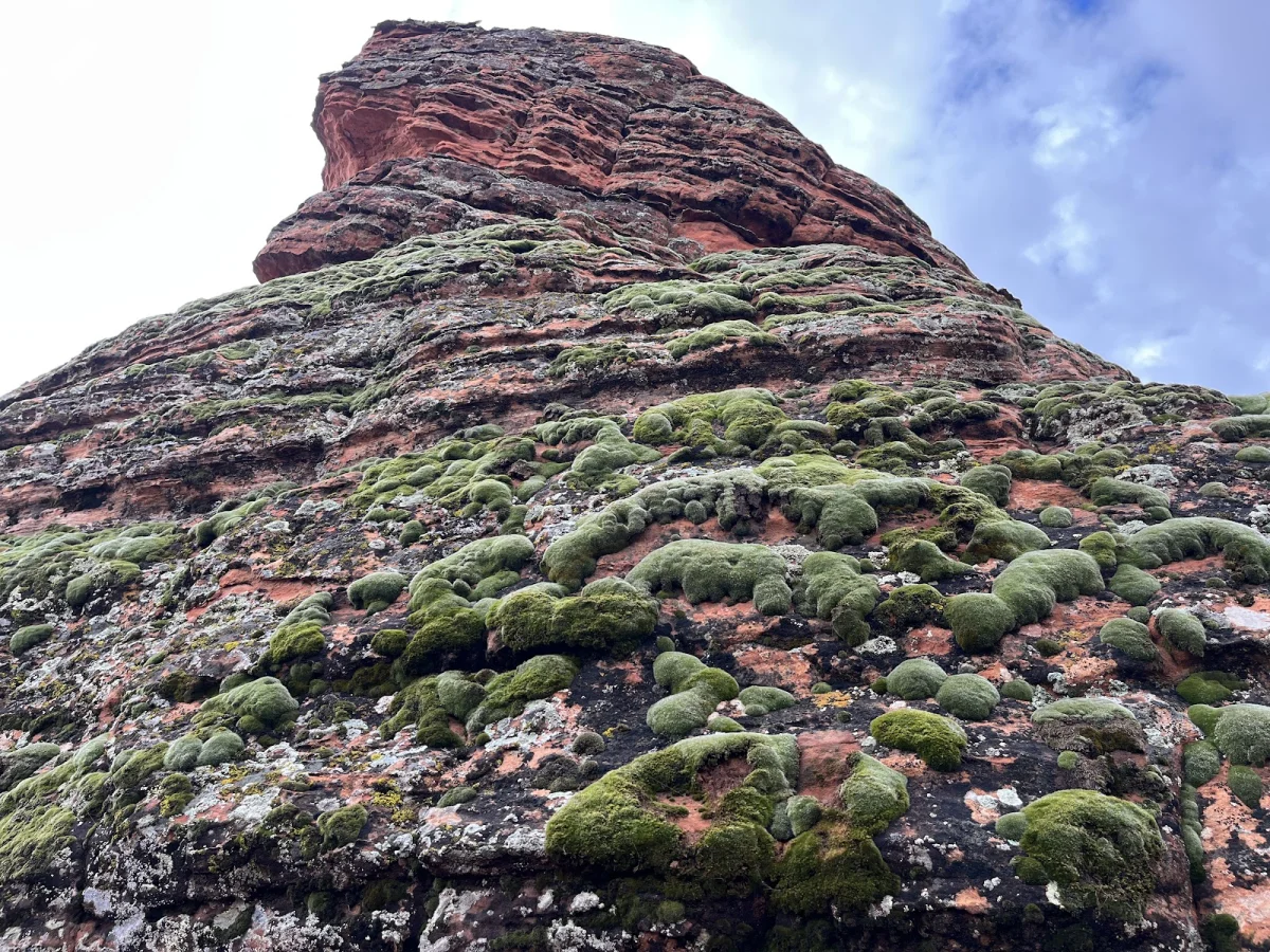 Вместо палатки — водопады Зайон, поход, шторм, водопады, кондоры, Snow Canyon, путешествия, США