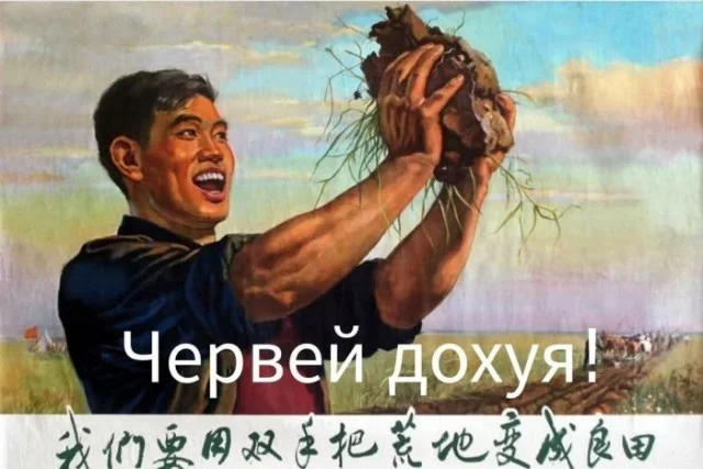 Воскресный заряд позитива мемы, картинки, юмор, воскресенье, подборка