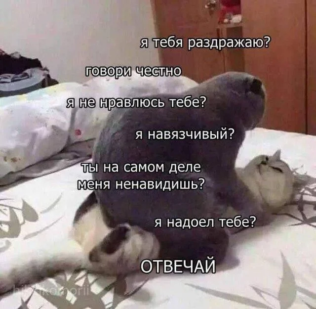 Воскресный заряд позитива мемы, картинки, юмор, воскресенье, подборка