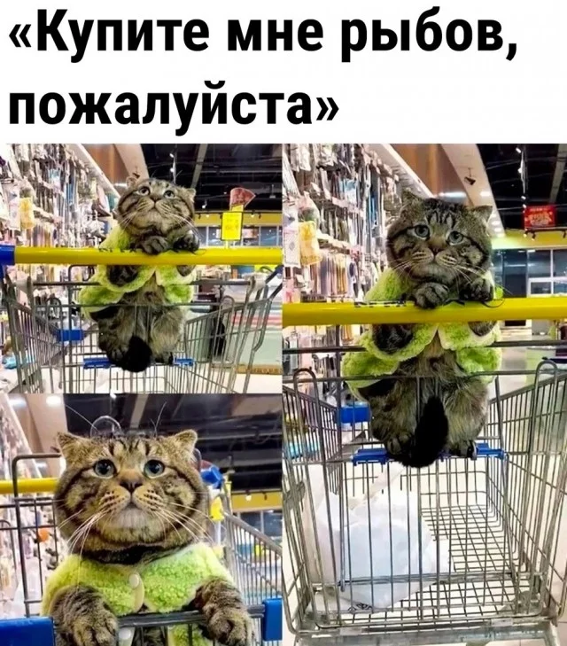 Воскресный заряд позитива мемы, картинки, юмор, воскресенье, подборка