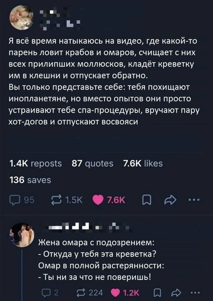 Юмор без тормозов: комментарии, которые не должны были нас рассмешить черный юмор, комментарии, подборка, соцсети, юмор, без цензуры, дерзкие