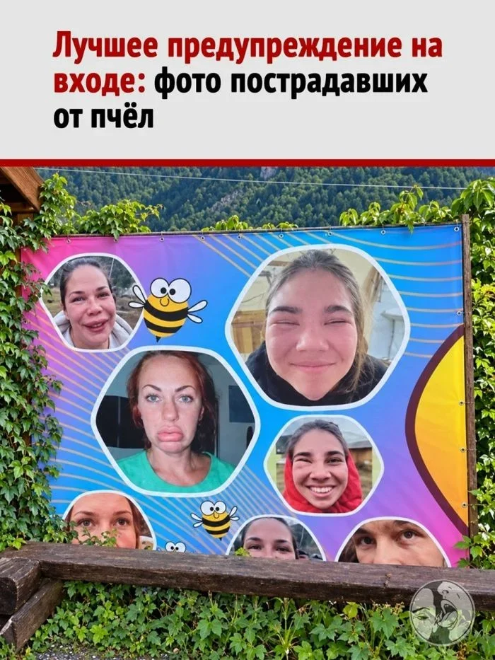 Улыбнись! Смешные картинки и мемы на воскресенье Улыбнись! Смешные картинки и мемы на воскресенье мемы, юмор, картинки, коты, подборка