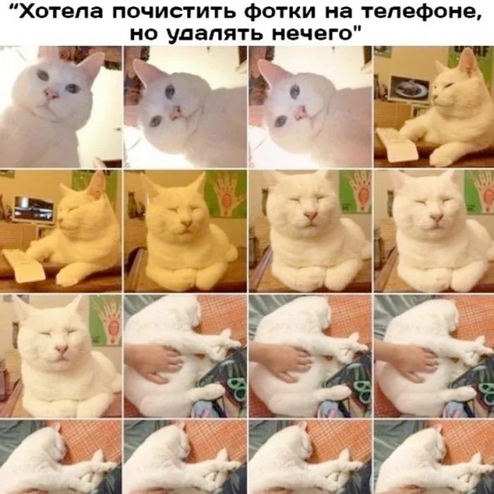 Улыбнись! Смешные картинки и мемы на воскресенье Улыбнись! Смешные картинки и мемы на воскресенье мемы, юмор, картинки, коты, подборка