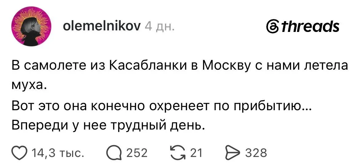 Воскресный юмор: сочень, шкаф и вино Воскресный юмор: сочень, шкаф и вино мемы, шутки, юмор, воскресенье, сочень