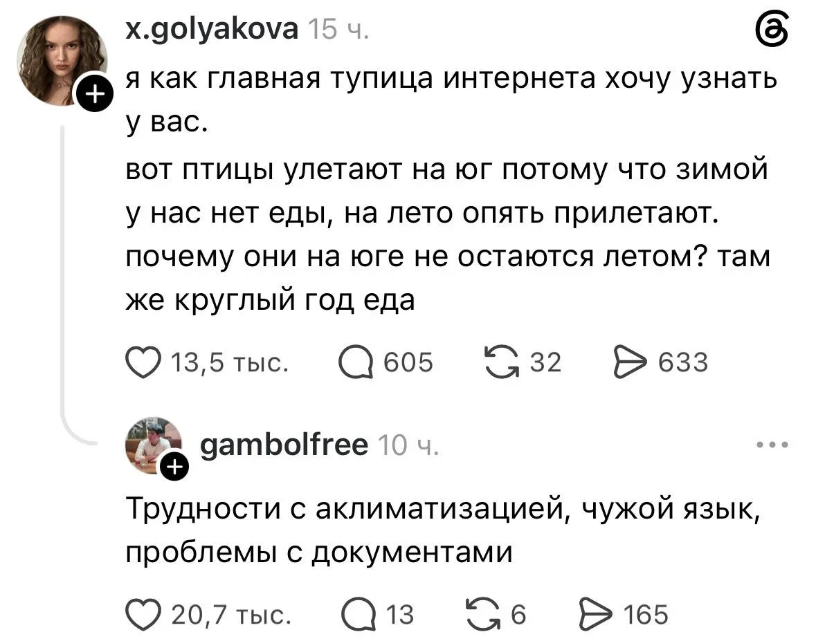 Воскресный юмор: сочень, шкаф и вино Воскресный юмор: сочень, шкаф и вино мемы, шутки, юмор, воскресенье, сочень
